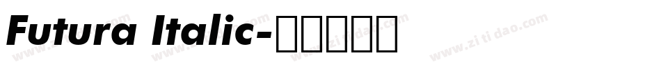 Futura Italic字体转换